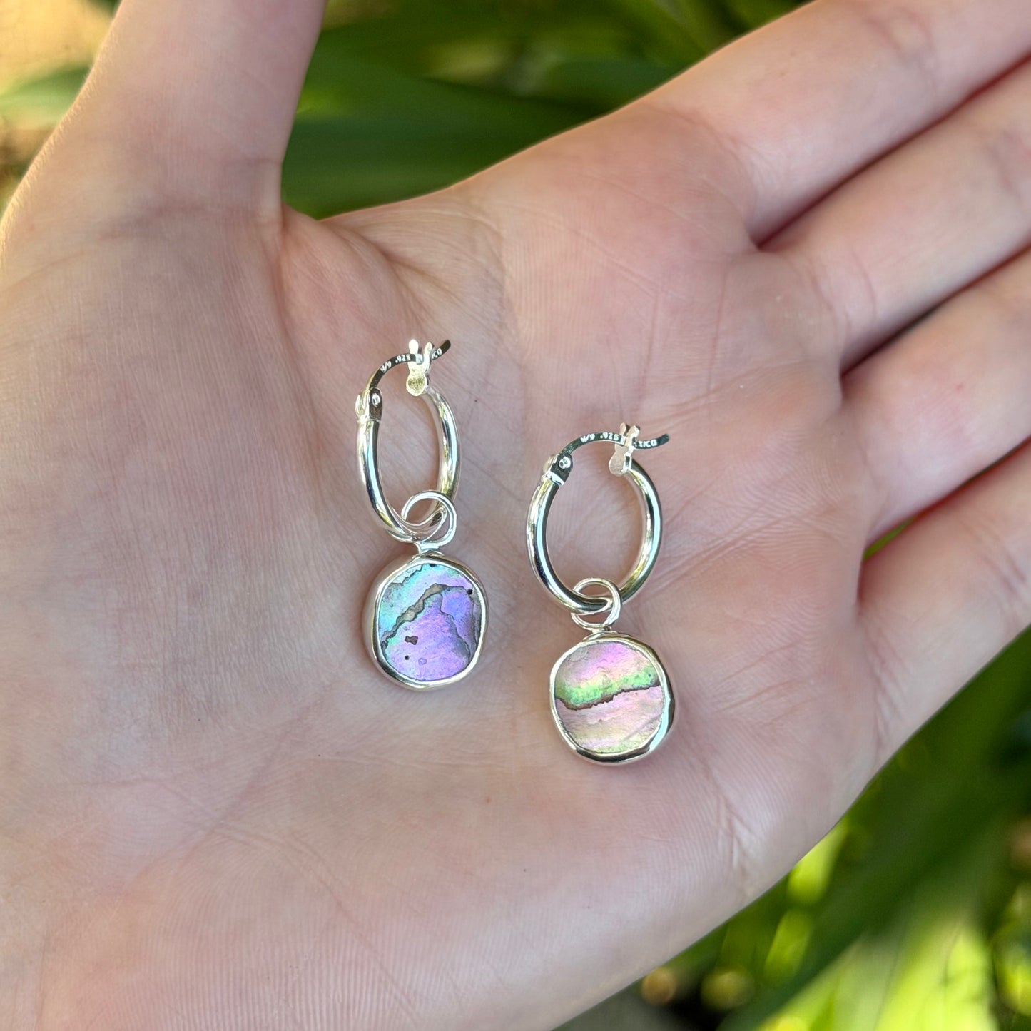 Abalone hoops