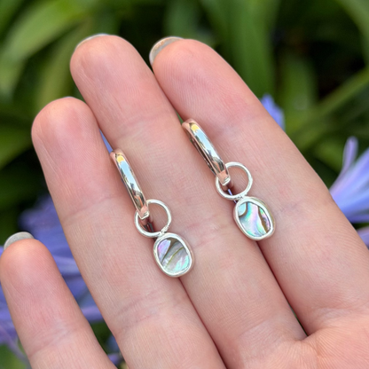 Tiny abalone hoops II