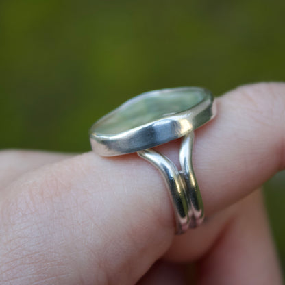 Abalone ring size 7