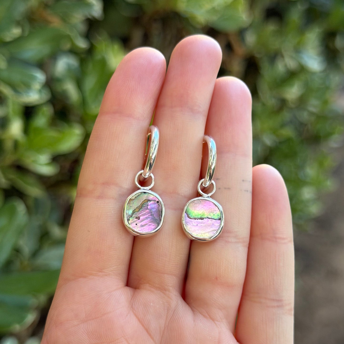 Abalone hoops