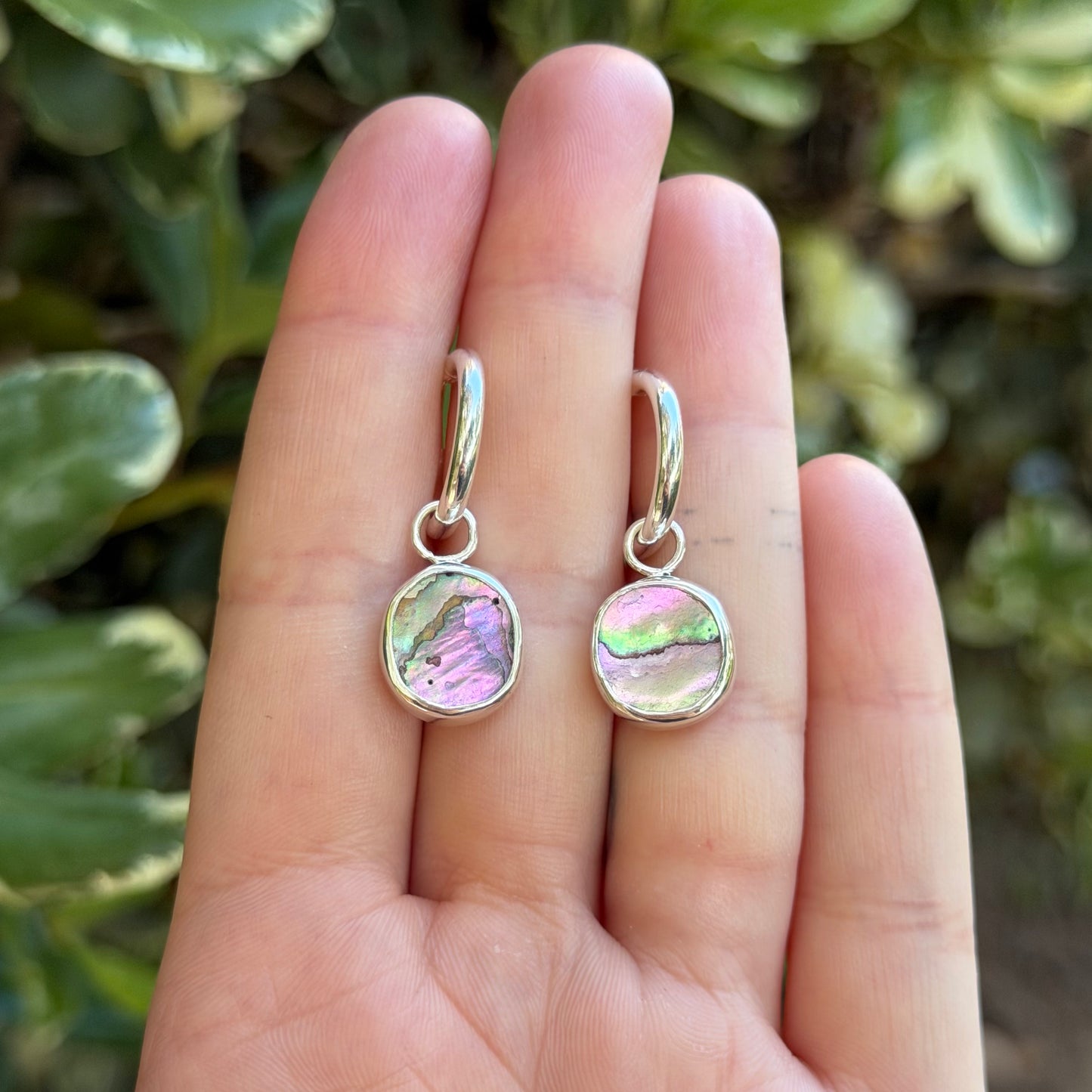 Abalone hoops