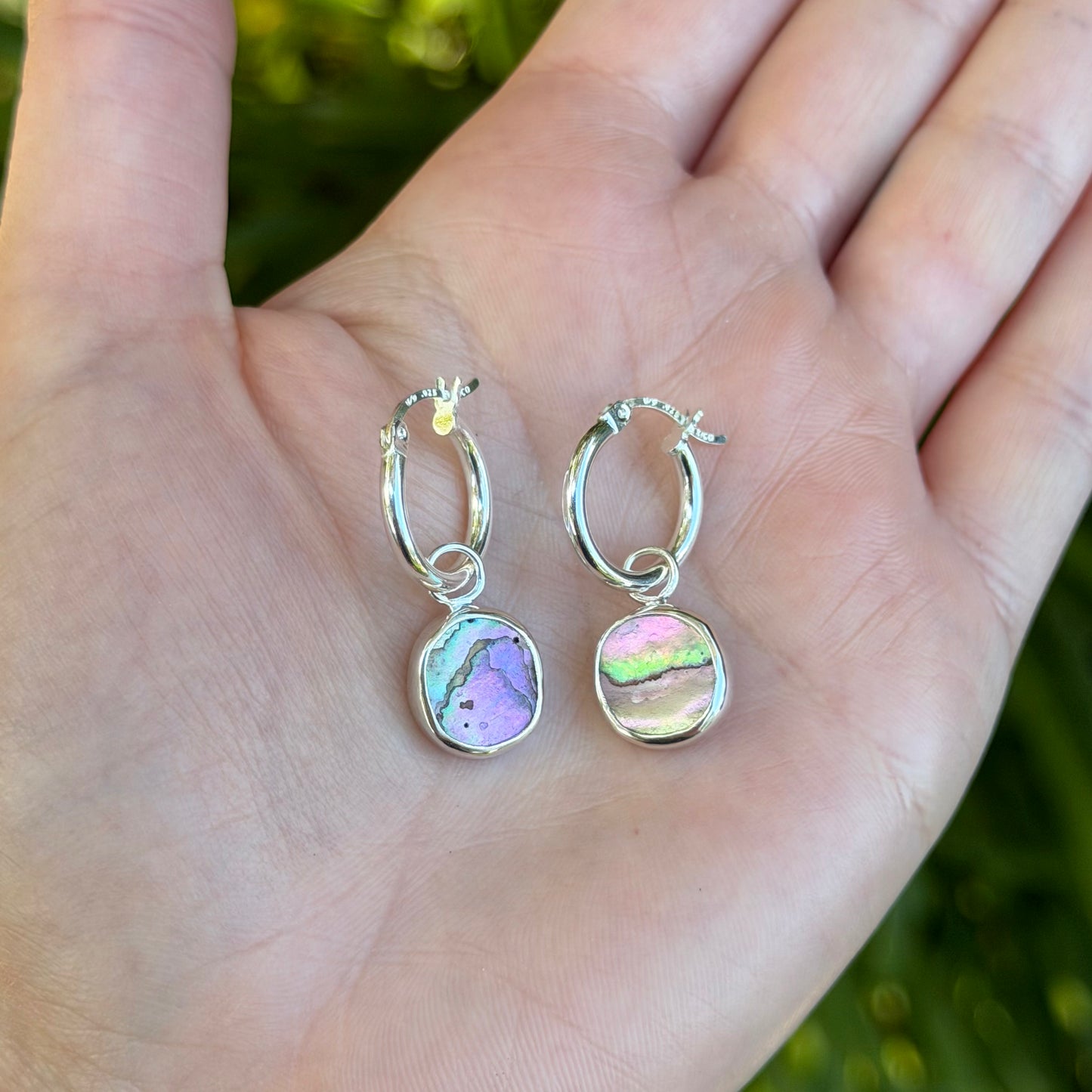 Abalone hoops